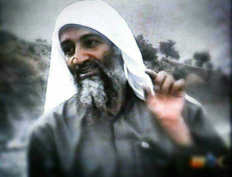 من هو أسامة بن لادن