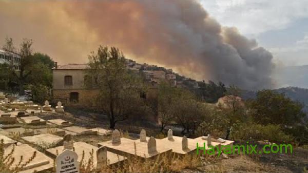 حرائق غابات هائلة تقتل 34 شخصاً في الجزائر