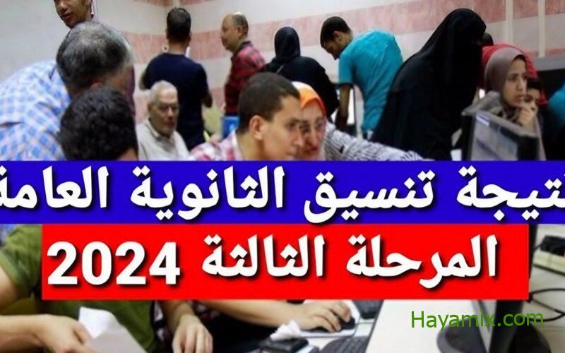 رابط نتيجة تنسيق المرحلة الثالثة 2024 الموقع الوزارة الرسمي